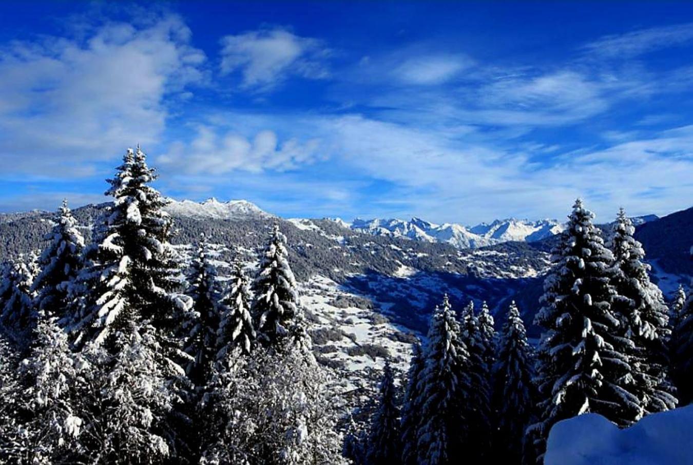 Berggasthof Grabs Inn *